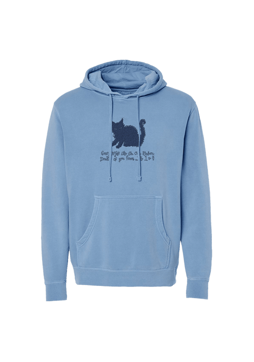 bodega cat embroidered hoodie