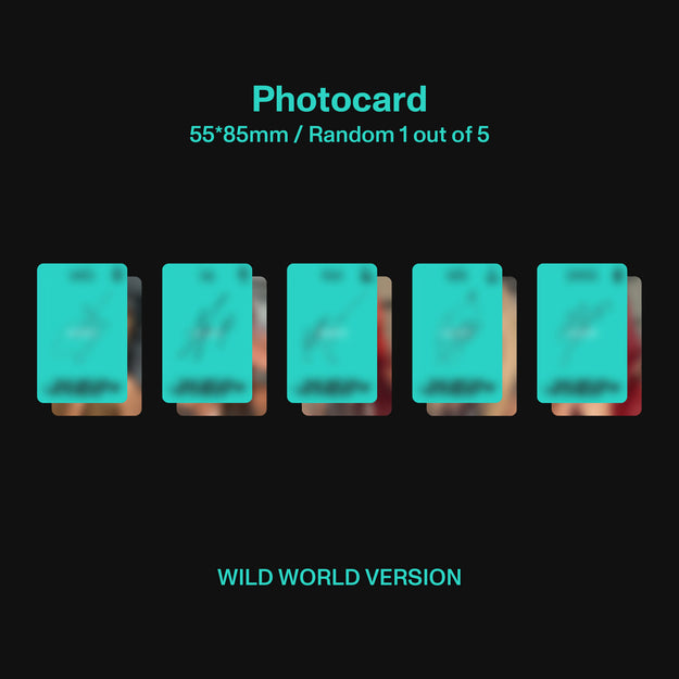 WILD - Wild world ver. CD