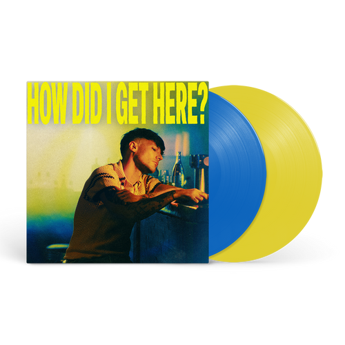 How Did I Get Here? Deluxe Double Vinyl