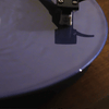 Man's Best Friend D2C Luxe Packaging LP