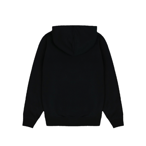 Icon Hoody