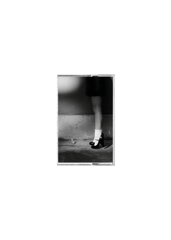 petal exclusive recycled black cassette