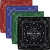 Paisley Bandana 4 Pack
