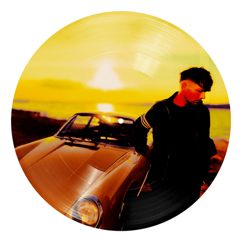 How Did I Get Here? Picture Disc