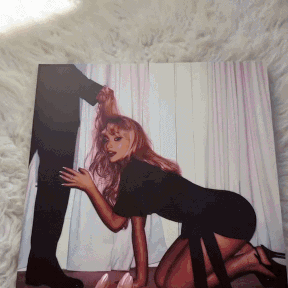 Man's Best Friend D2C Luxe Packaging LP