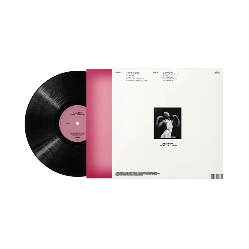 The Art of Loving Vinyl