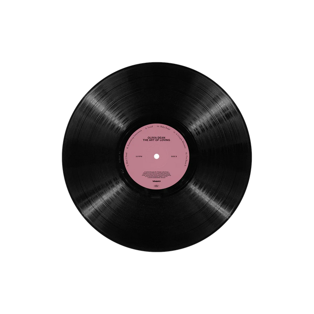 The Art of Loving Vinyl