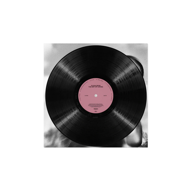 The Art of Loving Vinyl