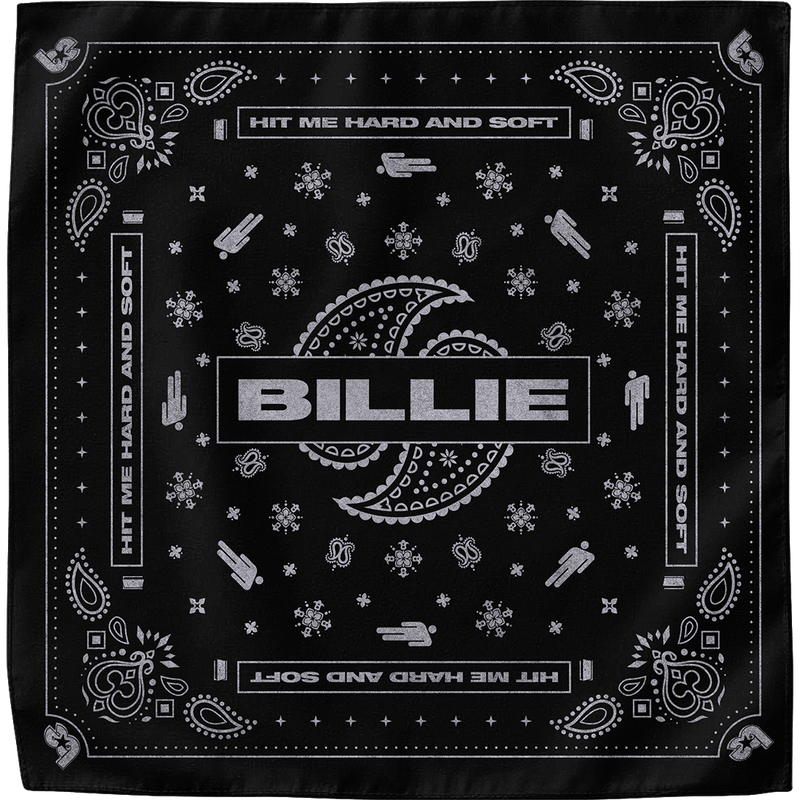Paisley Bandana 4 Pack