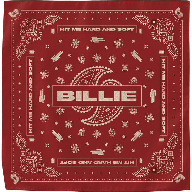 Paisley Bandana 4 Pack