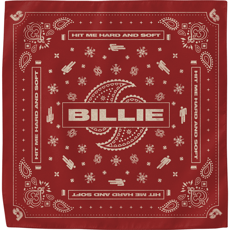 Paisley Bandana 4 Pack