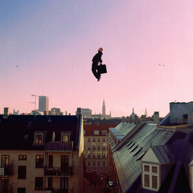 VI SES