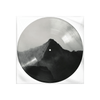 Shawn Picture Disc
