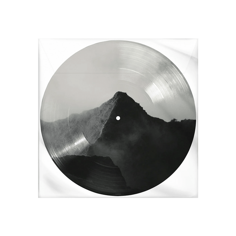 Shawn Picture Disc